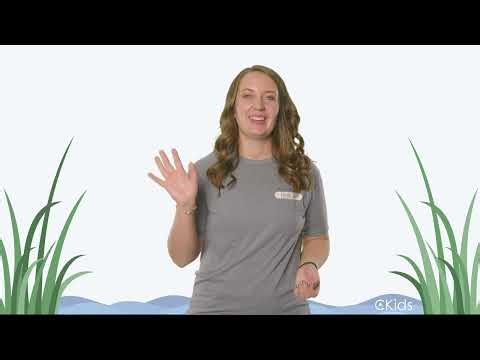 Preschool Memory Verse