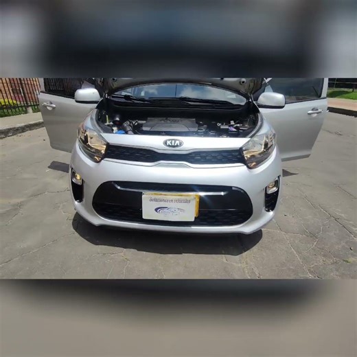 Kia picanto Zenith aut 2019