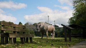 75 reactions · 11 shares | Join us down by the Green River of...