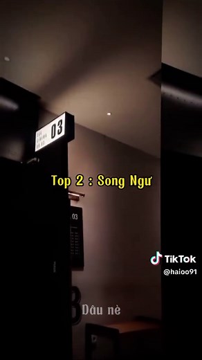 Khám Phá 12 Cung Hoàng Đạo Qua Âm Nhạc
