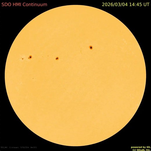 태양 전면 주간 동영상 (weekly solar full-disk movie : 2026. 3. 2 ~ 3. 8) #sun #solar #sunspot #태양 #흑점