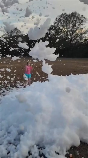 The new $550 foam cannon from Amazon appears to work well. See video and photos from the other new one we purchased on Thursday. It arrived on Saturday after ordering and paying for it on Thursday. https://a.co/d/4fwvfeV | Partymachines