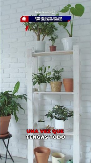 Cómo hacer un jardín vertical en casa?