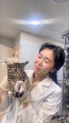 fullwarp (@fullwarp)’s videos with original sound - fullwarp