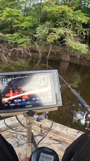 36K views · 486 reactions | Look at the slab crappie this laydown was holding! #crappie #garmin #livescope #arkansas #crappiemagnet #fishing #love | Crappie Slanger | Facebook