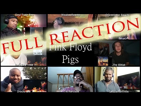 FULL MULTI REACTION Pink Floyd Pigs / MULTI REACT-A-THON