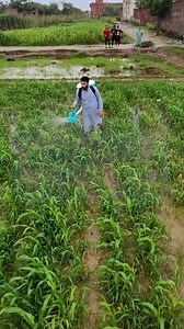 Fertiliser Applicator | کھاد بکھیرنے والی مشین | #fertilizerapplicator #fertilizer #spreader #SobyAgroMachinery Contact for more information call/WhatsApp . UAN-0304-111-222-0 . https://wa.me/923008626170 . https://wa.me/923008626095 . https://wa.me/923018616056 . https://wa.me/923008626056 . https://wa.me/923008716056 . https://wa.me/923008626094 Visit Now: Soby Agro Machinery near WAPDA Office Circular Road Daska, Sialkot. 2nd Showroom Saggia Road Mehmood Butti Lahore Opp Fida Kanta | Soby Agr