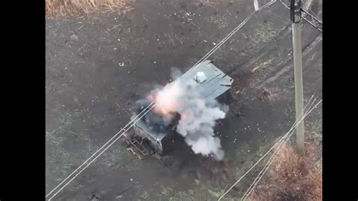 Turtle Tank Erupts in Flames