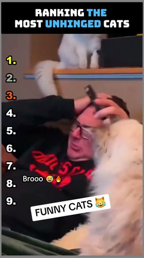Ranking The Most Unhinged Cats 🤣 #crazycats #catfails #petvideos