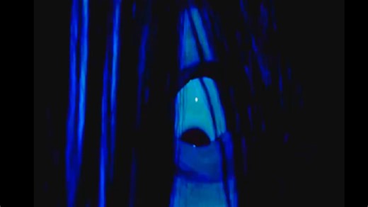 你也成为奇幻博物馆的一员吧【怪谈】#3