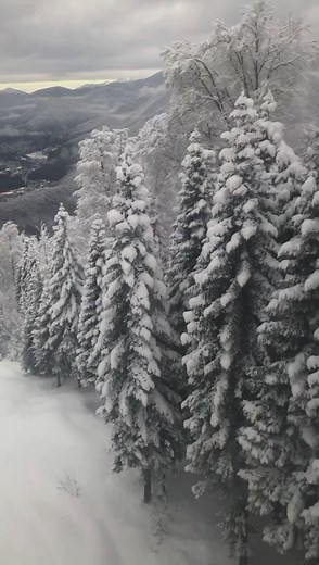 Chan Kithan #SnowFall 🤍 | Siddharth Slathia