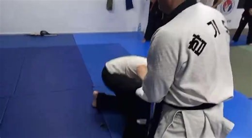 Hapkido (art martial coréen) | Skat Shodokan