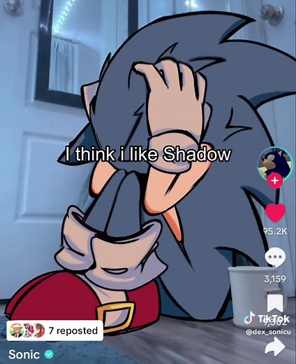 Sonic & Shadow: Exploring Their Unique Relationship