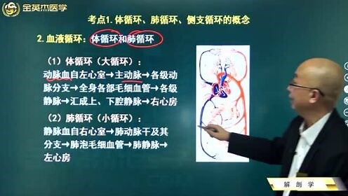 临床解剖学：血液循环下的体循环、肺循环以及侧支循环的概念，血液循环过程