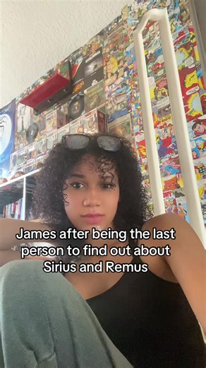James Potter's Surprise Discovery About Sirius and Remus