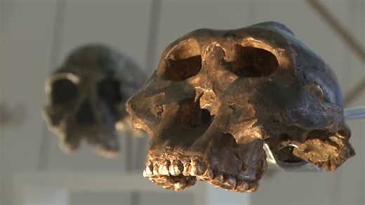 These are the oldest footprints ever found - the discovery that disturbs scientists