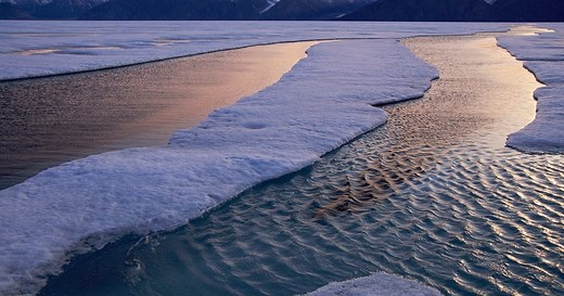 Arctic ecosystem education toolkit