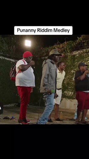 Punanny Riddim Medley - Dancehall Music Throwback