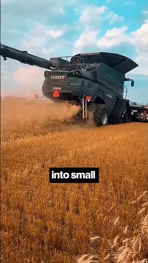 Why farmers throw their straw #farming