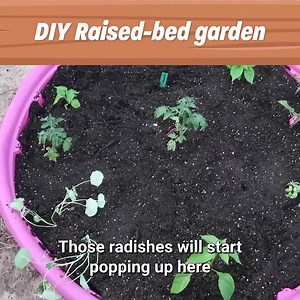 37K views · 11 reactions | DIY raised-bed garden  Like the page to discover the adventures of a big family's small farm 殺 | Roots and Refuge Farm | Facebook