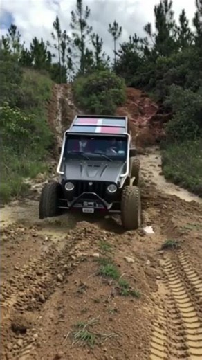 Pip Pip Car Driving #FunnyCarCartoons #CarComedy #AnimationForKids #HilariousCars #CrazyCarCartoon