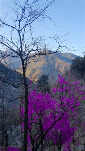 natural beauty of mountain biking #nature #travel #shorts #short #subscribe