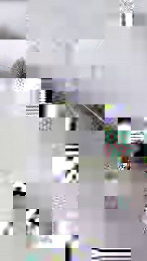 Honda Grom Test Drive | Bikes and Beards