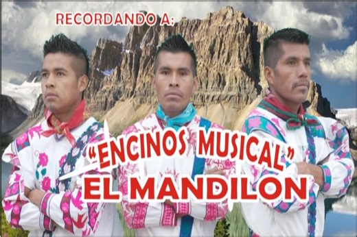 ENCINOS MUSICAL, recordando a otro gran amigo que se nos adelanto en el camino y que nos dejo un recuerdo de por vida atraves de su musica y sus canciones, vuela alto amigo FELIX GARCIA, esta cancion se llama el mandilon subaleeee!!!! | Lema Jerez