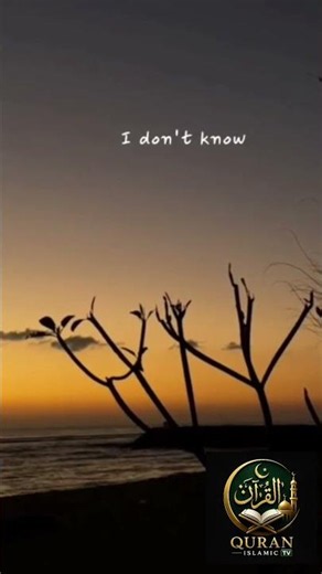 Allah Is With Me | Trust Allah's Plan | He Is My Best Guide Allah always with me