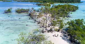 Is It Possible to "Wipe Out” the CO2 Footprint of Your Surf Travel?