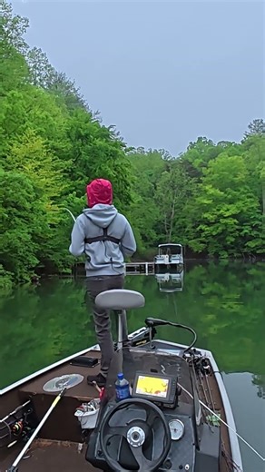 When The fish doesn't even make a sound eating a topwater. #bassfishing #fishing #lake