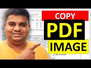 How To Paste PDF Image Into Word [ MAC and Windows ]