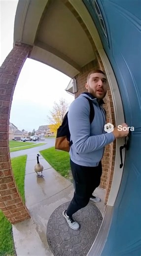 This Goose Owns the House Now 🪿💀