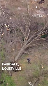 Here's an aerial view of damage in Fairdale (Louisville), where a tornado touched down last night: https://shorturl.at/iQ3Fr | WLKY News