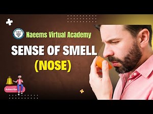 Lecture no 6 sense of smell