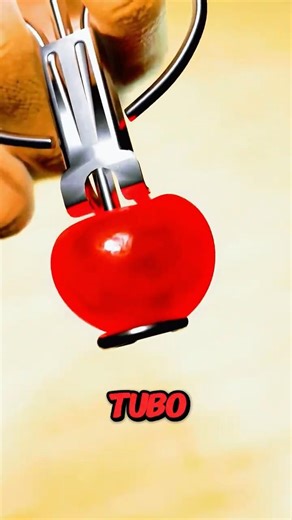 How to grow a cherry tree from a single seed 🍒