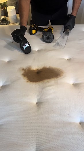 Professionell textil- och ångtvätt för möbler och bilar