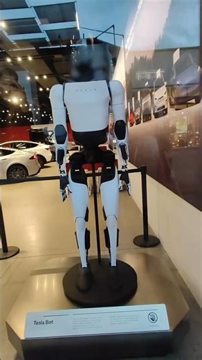 Тесла Бот Изучай Меня 16 ноября 2025 г.