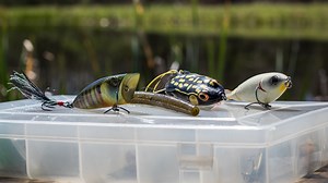 Pros’ Favorite Baits for May - Major League Fishing