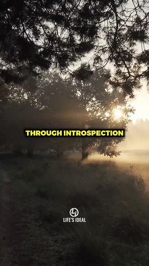 17 reactions | 7 Steps to Discovering Your Life's Purpose ✍️ | LIFE LESSONS #reels #growthmindset #lifelessons #motivation #inspiration #positivevibes #wisdom #trending #quotes #positivity #viralreels | Life's Ideal | Facebook