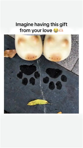 Cute Paw Slippers: The Perfect Gift for Your Loved One