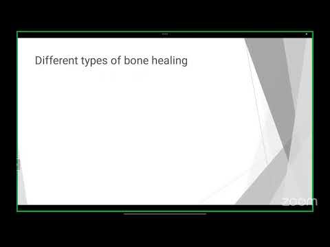 Bone Biology and Bone Healing
