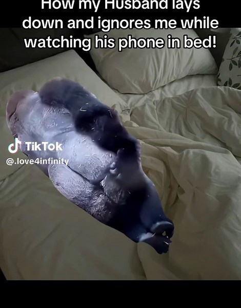 identifiable😂? #relatable #girlfriend #boyfriend #fyp #viralvideo