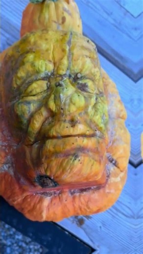 Monsters Are Coming Out of This Pumpkin?! 😱🎃 You Won’t Believe What’s Inside!