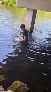 Caught this monster bridge snook on a 3 inch NLBN.