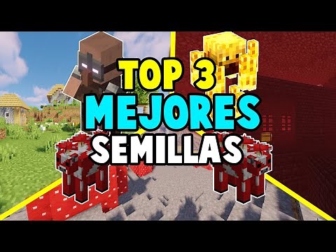 ⭐TOP 3 BEST SEEDS IN MINECRAFT 1.17