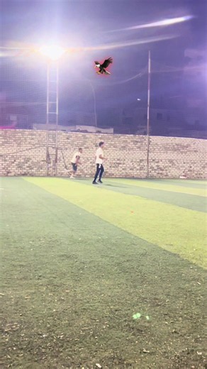 ‏🦅😍#foryourpage #foryou #كرة_قدم #امام_عاشور #trend | Football Video