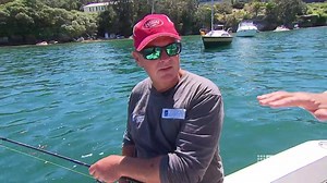 Sydney Harbour is the jewel in this city's crown, but the crystal blue waters haven't always been treated well. #9News | http://9News.com.au | 9 News Sydney