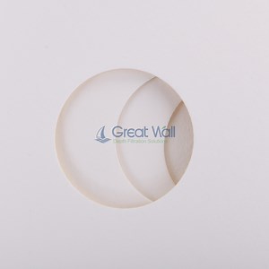 [Hot Item] Paper Filter Lab Whatman Dia 300mm Circle 100/Pk Paper Filter Laboratory 100 Cm