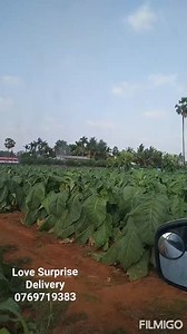 12K views · 209 reactions | Happy Customer Today ❤ An order...